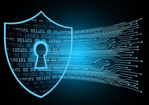 網(wǎng)絡(luò)攻防中的“緊急制動” 服務(wù)器黑洞策略的觸發(fā)機(jī)制與應(yīng)對